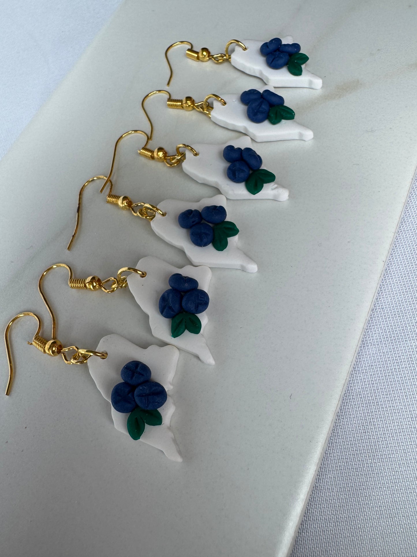 Mini Maine Wild Blueberry