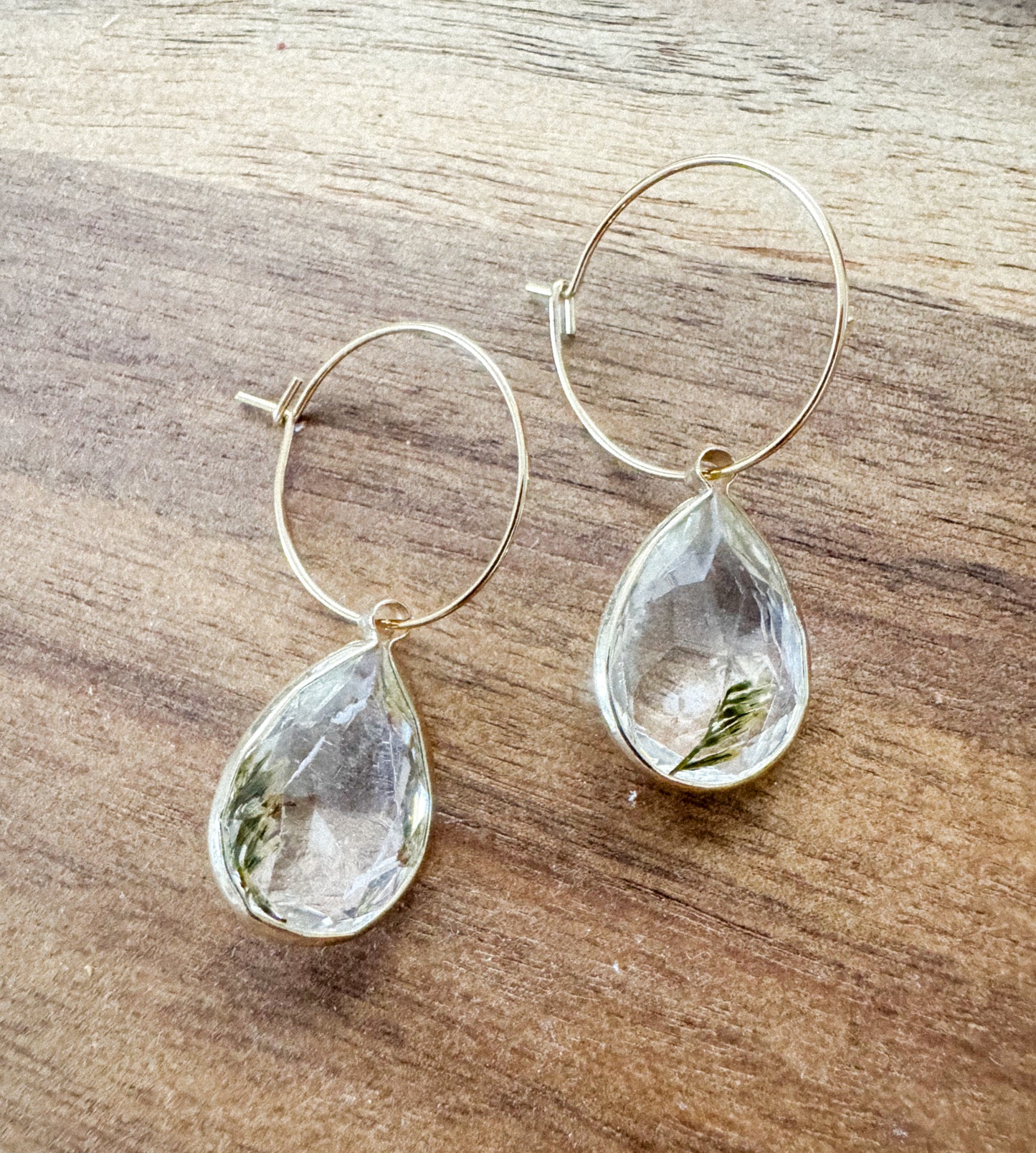 Crystal with Dried Fir Tree