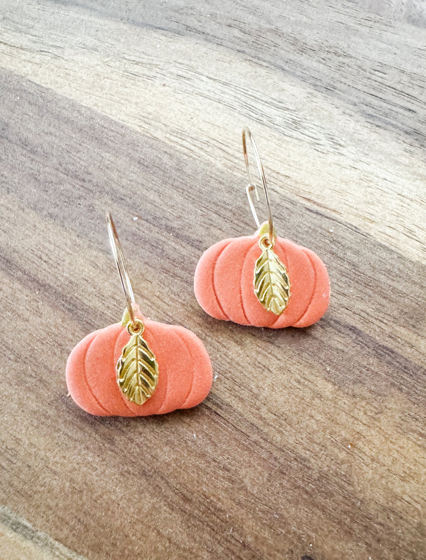 Orange Pumpkin and Leaves